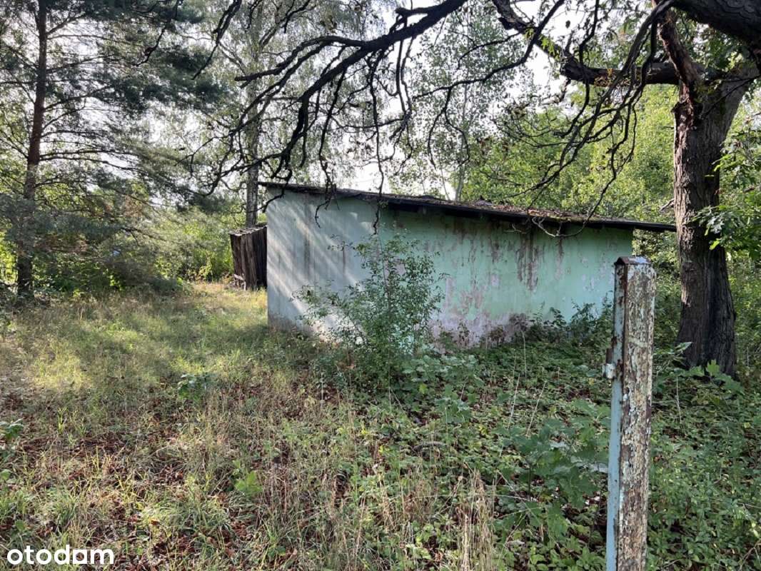 Dom w miejscowości Boczki - Pełny obrazek: 4/10