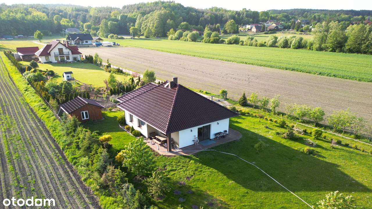 Wygodny dom ze stawem na skraju Borów Tucholskich - Pełny obrazek: 5/12