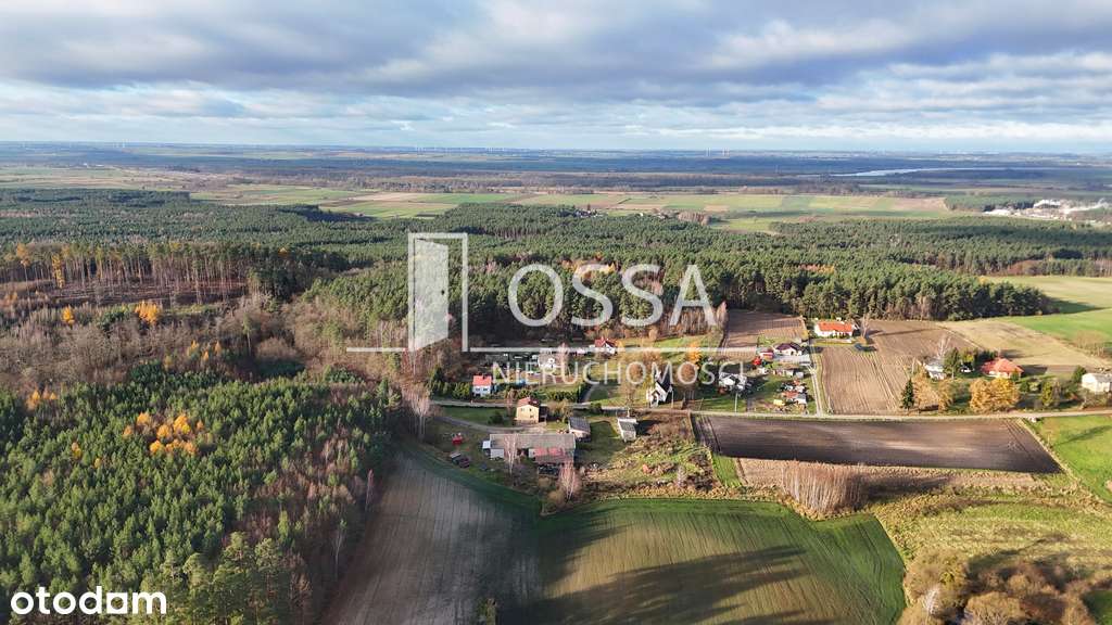 Działka 2400m | Wydane WZ | Media - Pełny obrazek: 4/8