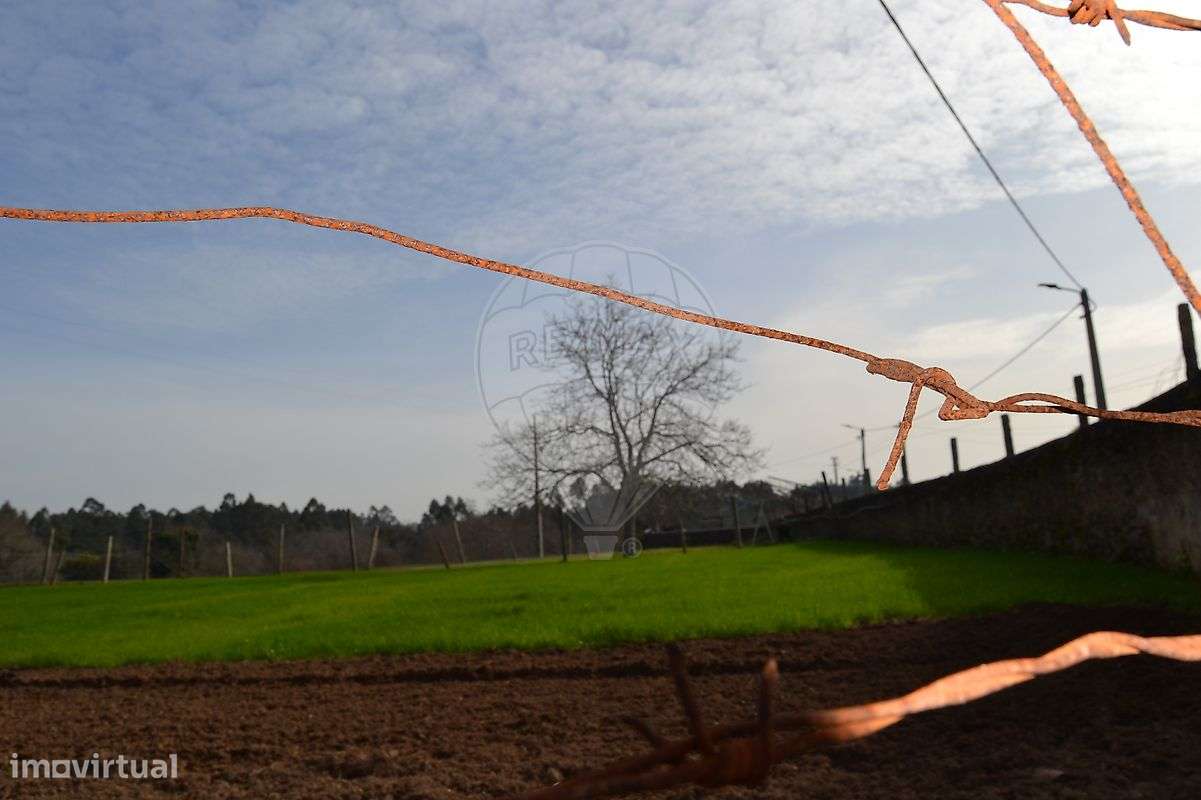 Quinta T6 para venda - Grande imagem: 5/47