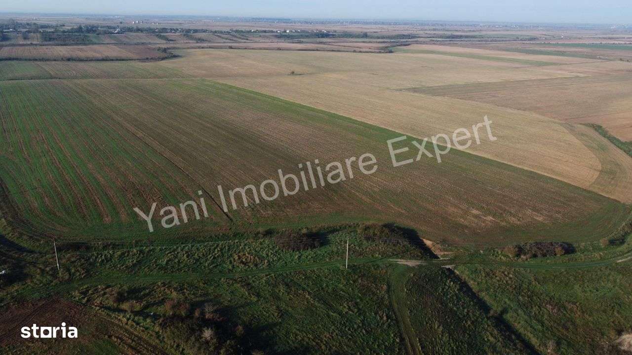 Teren de vânzare în comuna Căteasca / Argeș, lângă autostradă - Imagine principală: 2/10