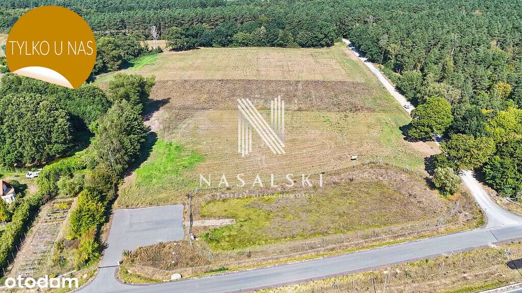 Działka inwestycyjna / 2451m2 / Niwy / Przy S5 - Pełny obrazek: 5/5