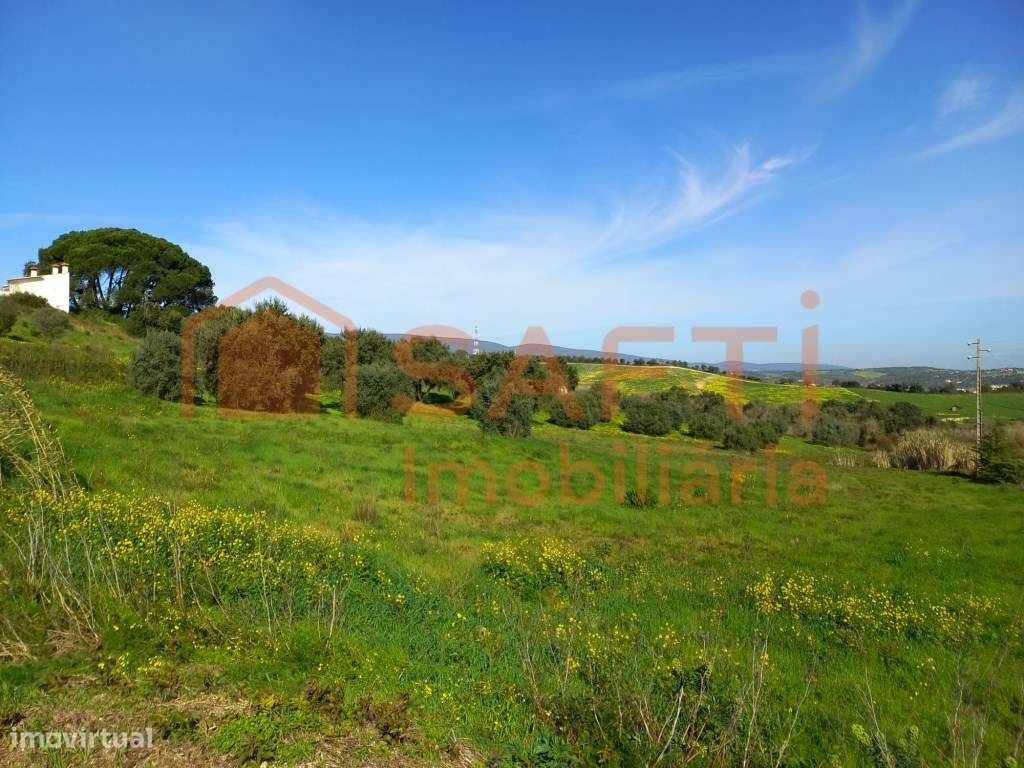Vende-se Terreno Rústico em Torres Novas - Grande imagem: 4/4