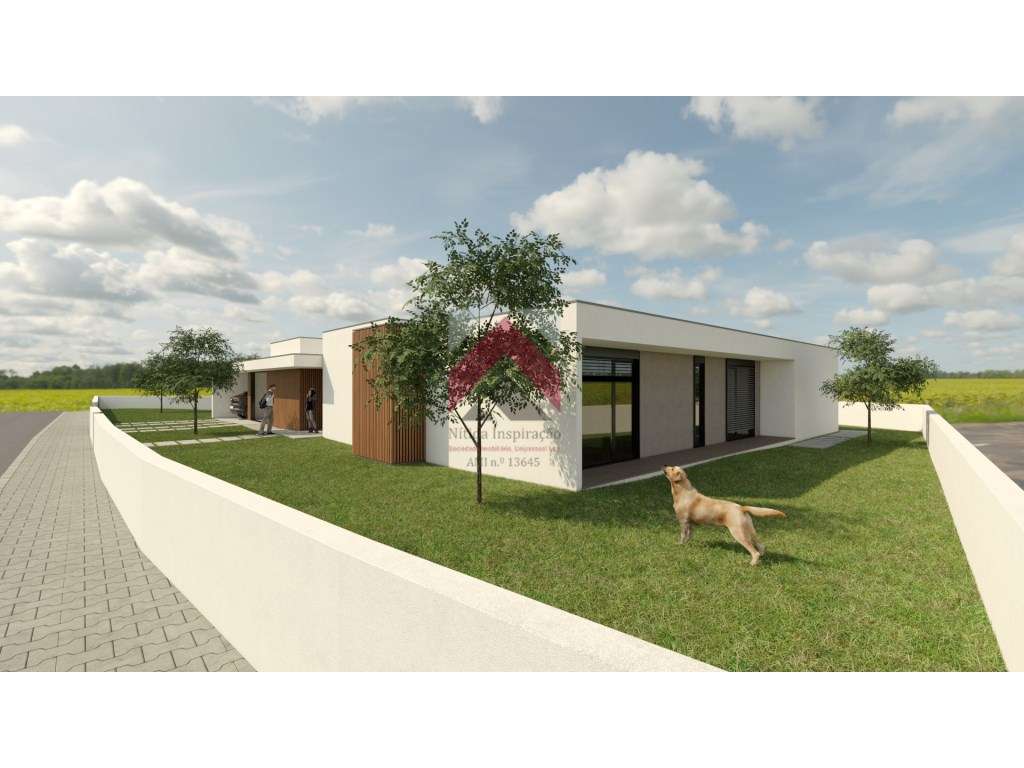 Vivenda Térrea T4 de Luxo em Oliveirinha - Grande imagem: 3/3