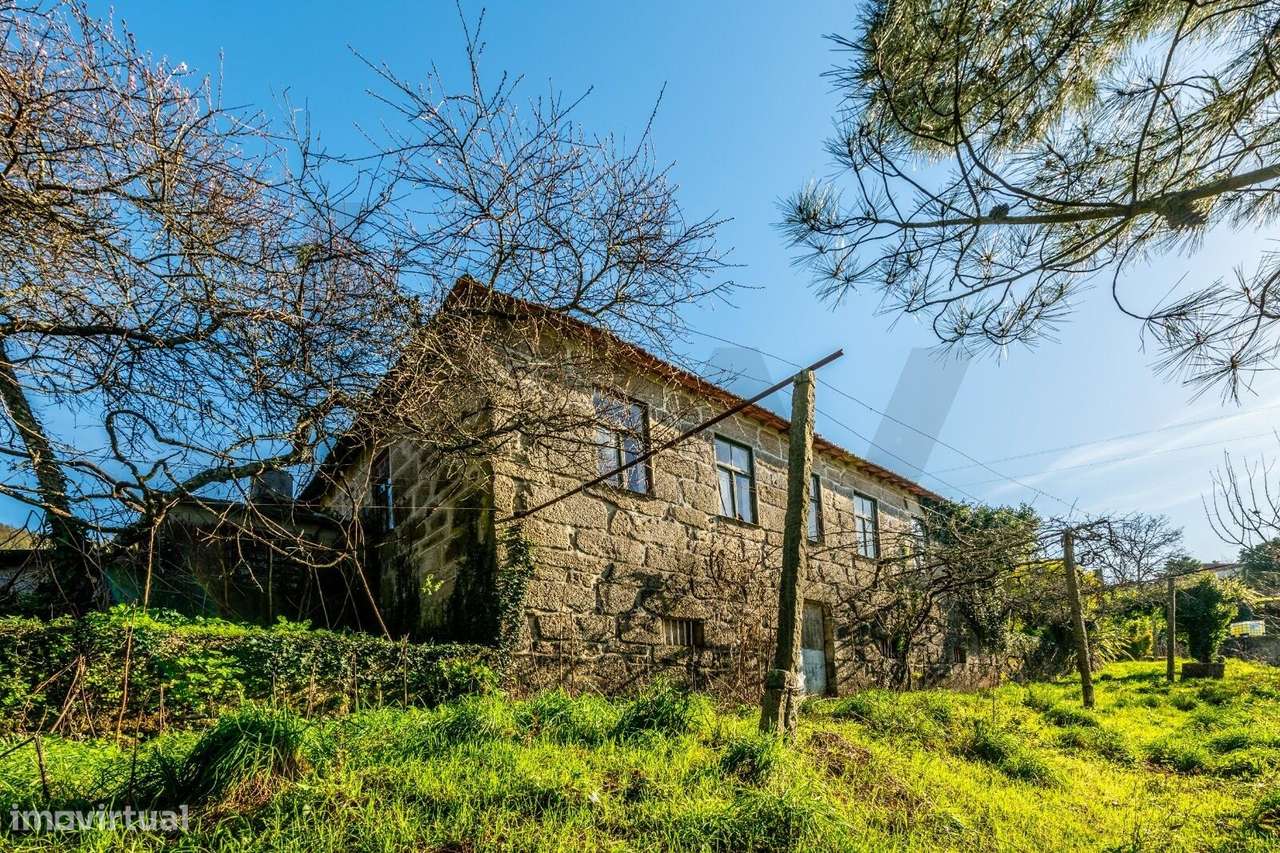 Quinta de 9.200 m2 com Moradia em Pedra | 30min do Porto (Próximo à Al - Grande imagem: 5/19