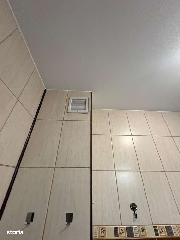 1 cam d 38 mp zona pacurari kaufland 2/8 mob si util 86.500 euro-13