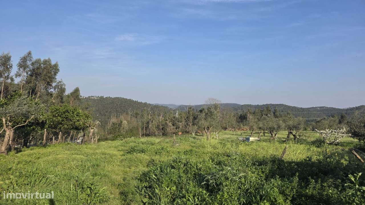 Moradia para restaurar, com terreno, perto de Ferreira do Zêzere-55