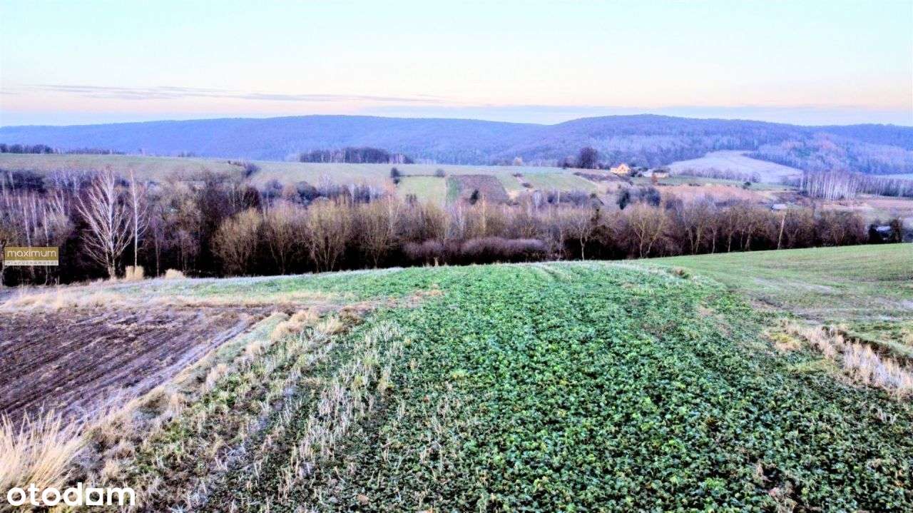 Działka budowlana na wzgórzu |16 i 77 ar|Roztocze-8