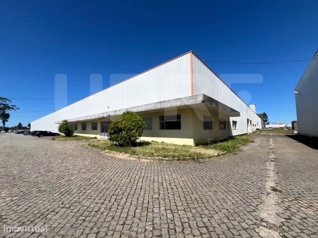 VENDE | ARMAZÉM | MODIVAS (V.D. CONDE)