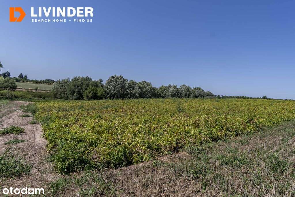 Piękna działka pod zabudowę bardzo blisko Krakowa - Pełny obrazek: 4/5