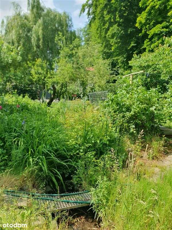 Dom wolnostojący - Gdańsk Wrzeszcz-11