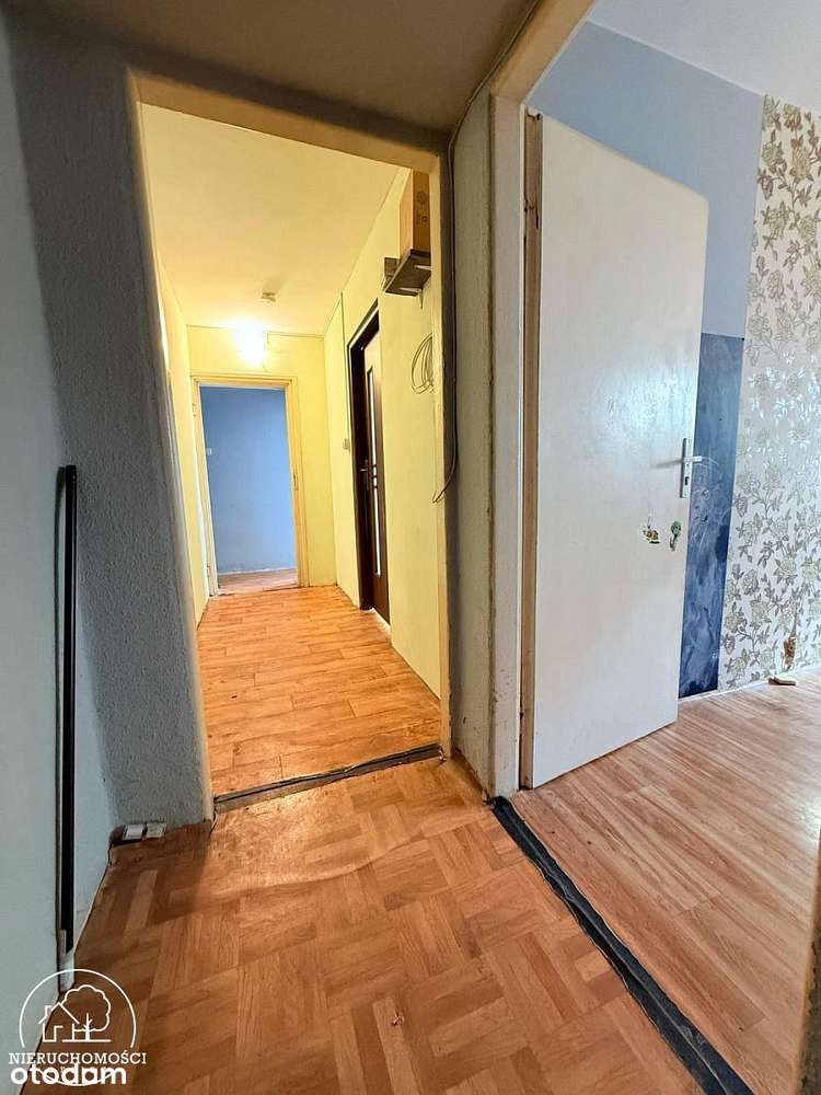 M3 na wysokim parterze - Zabobrze I - Pełny obrazek: 4/8