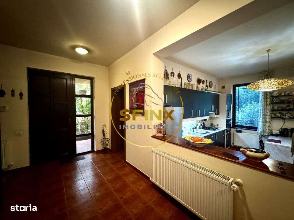 Casa 6 Camere, gradina spectaculoasa, Erou Iancu Nicolae-17