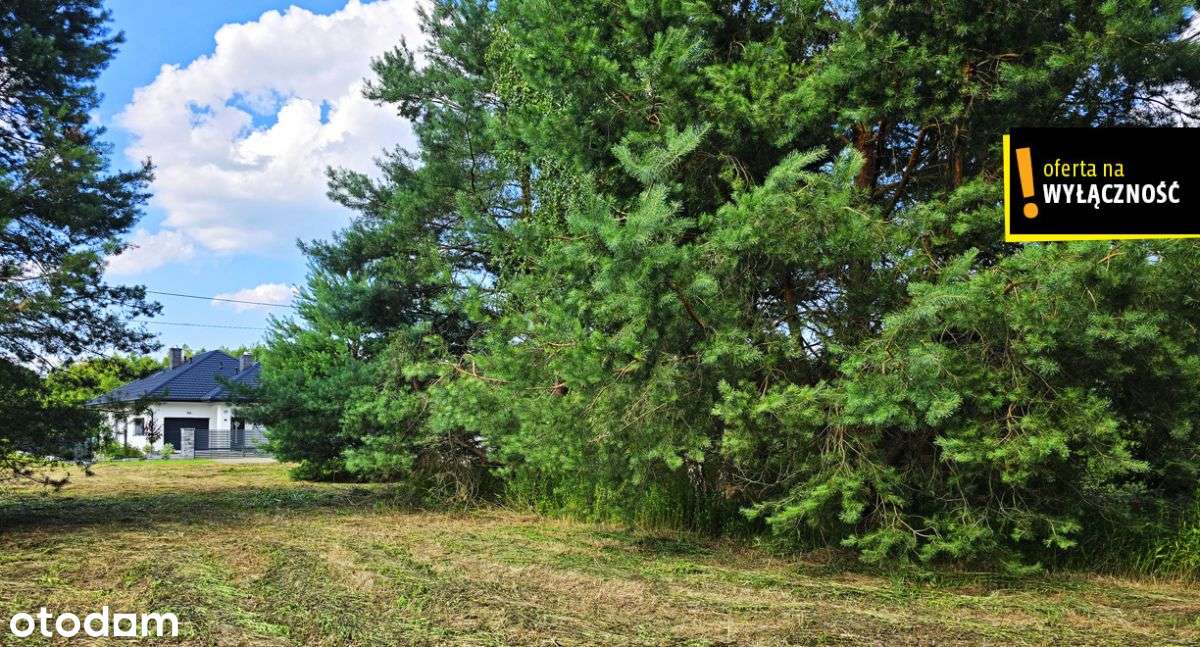 Działka pod budowę blisko Rytwian - Pełny obrazek: 4/7