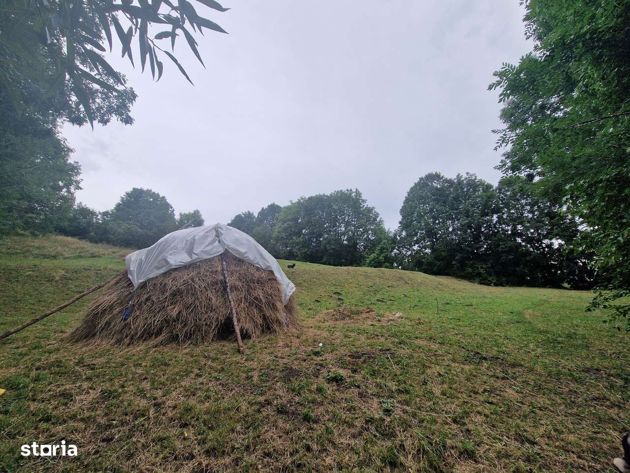 Teren intravilan Comarnic/ priveliște superba-3