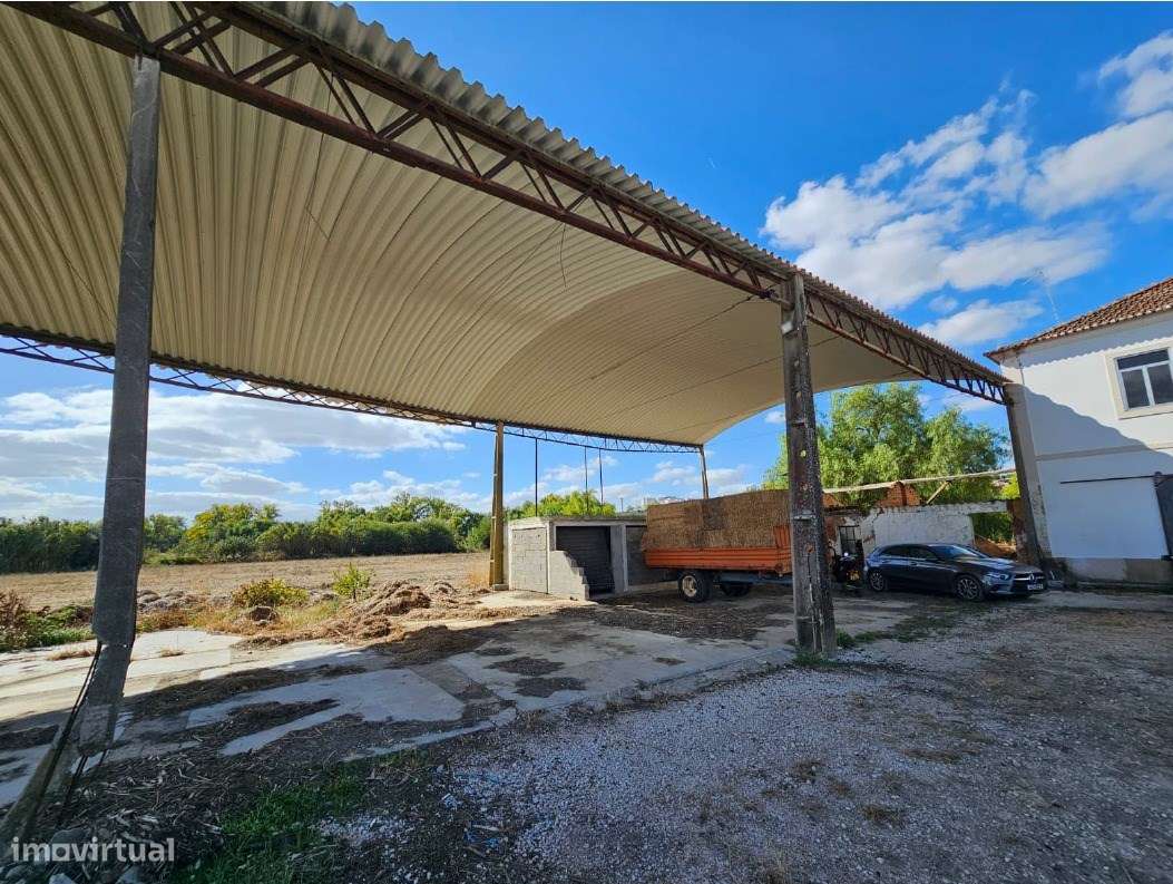 Quinta Rural - Torres Novas - Junto ao Rio Almonda-4