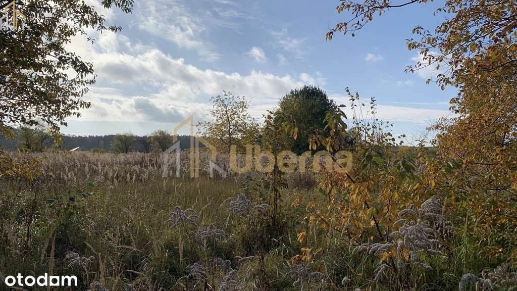 Działka na sprzedaż 2006 m2-5