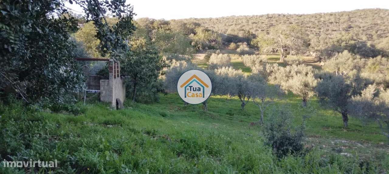 Terreno Rústico - Grande imagem: 3/16