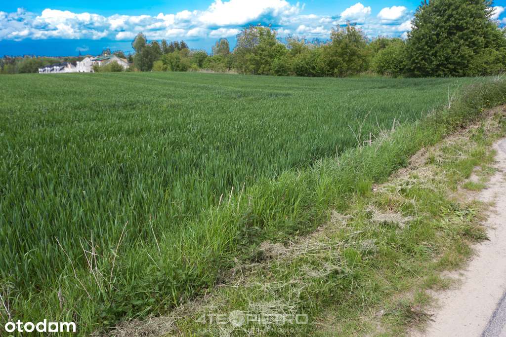 Działka budowlana 1850 m2 z dala od zgiełku miasta - Pełny obrazek: 3/6