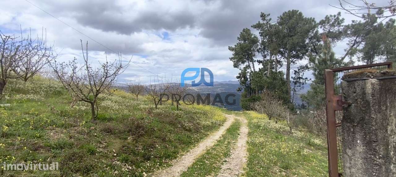 Terreno Urbanizável de 7959 m² com Armazém-9