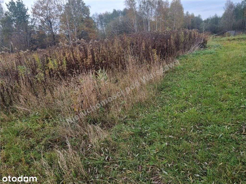 Wyjątkowa działka budowlana 800 m² – Ciemne - Pełny obrazek: 4/8