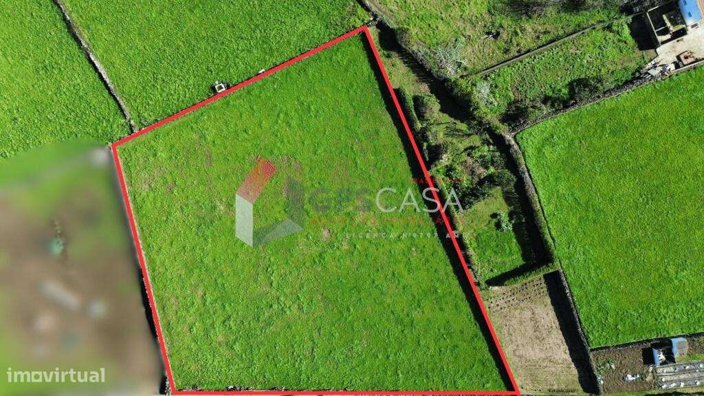 Terreno com Potencial para 3 Lotes no Centro de São Brás-14