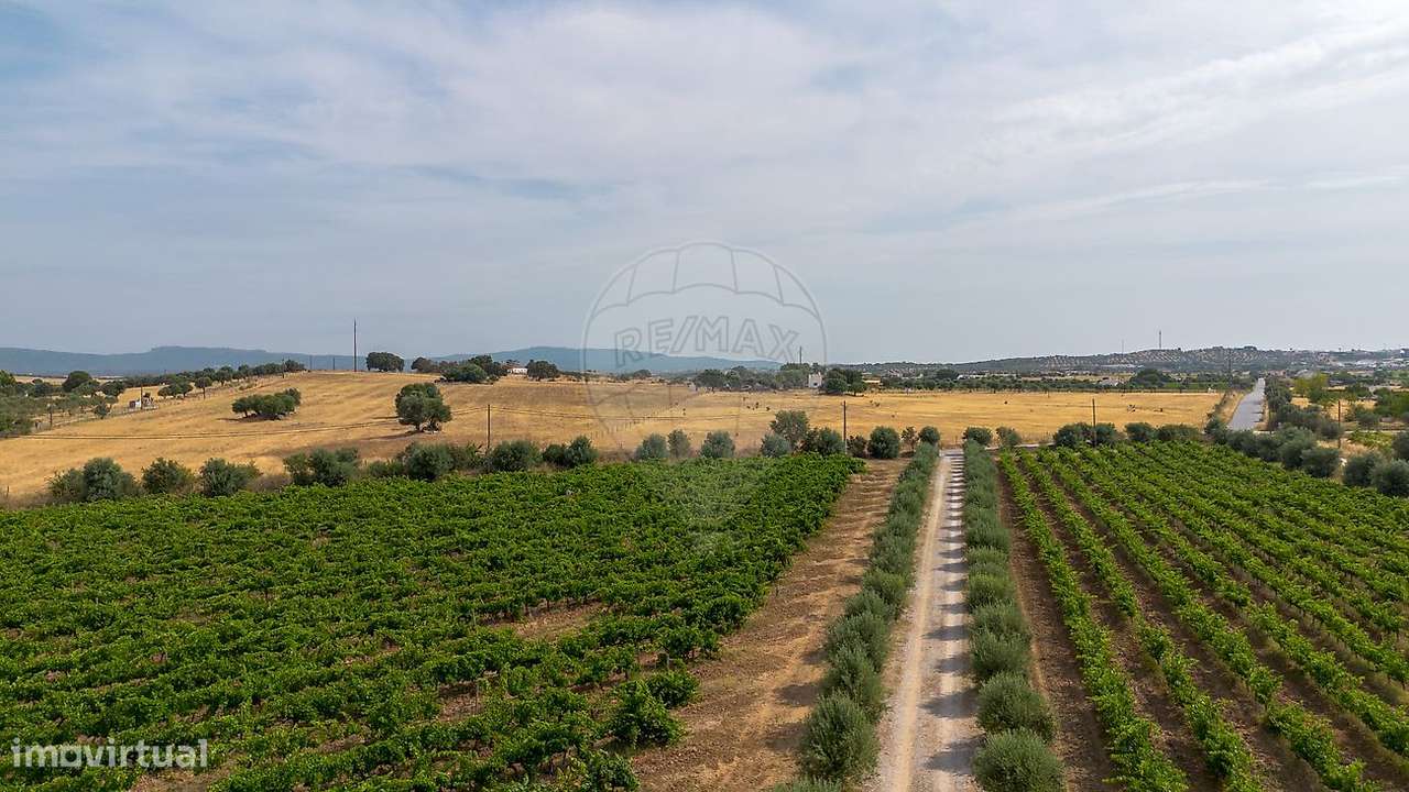 Quinta T8 para venda-44