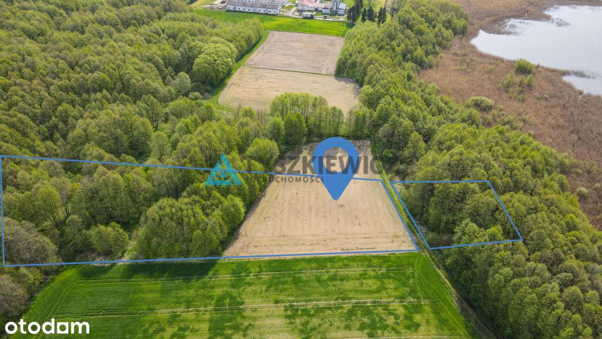 i jezioro i las - 2 w 1 na duuuużej działce - Pełny obrazek: 5/15