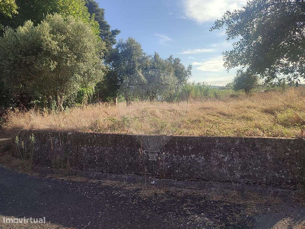 Terreno  para venda-9