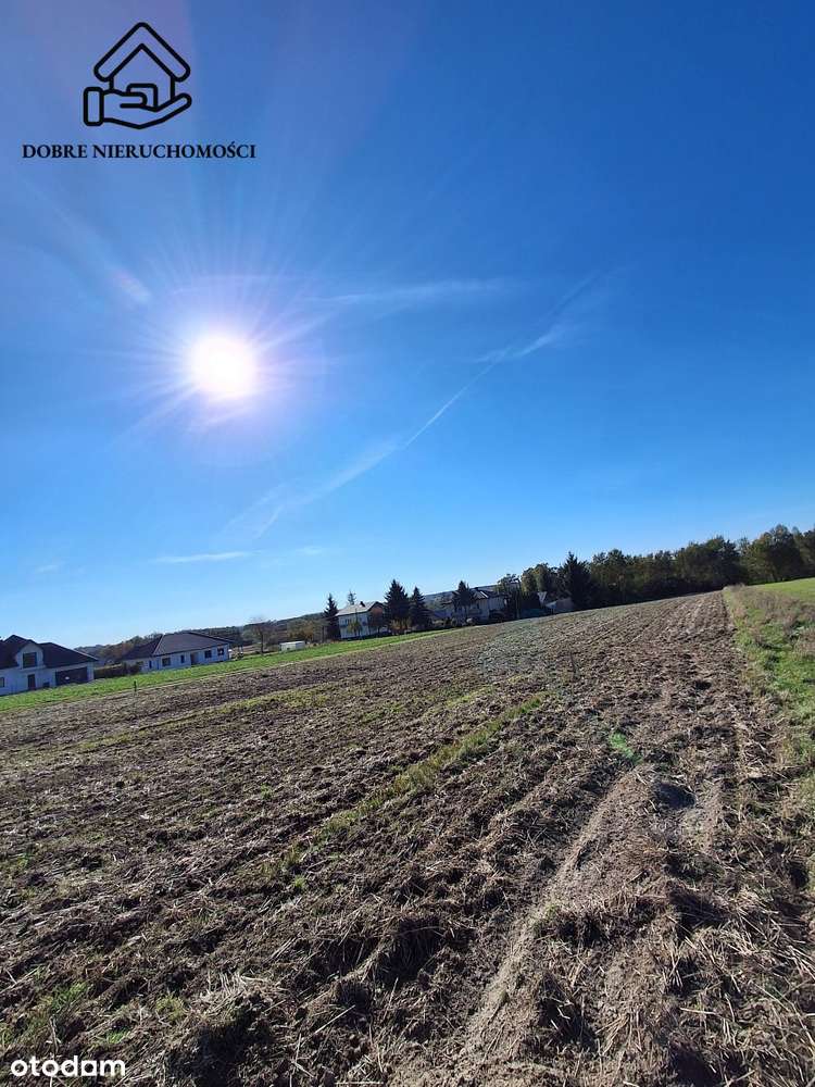 Działka  10ar. 165tyś!!!  Zbliżona do kwadratu - Pełny obrazek: 3/5