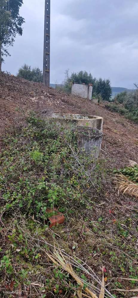 Terreno Rústico em Serradinho com Paisagem Deslumbrante - Grande imagem: 3/12