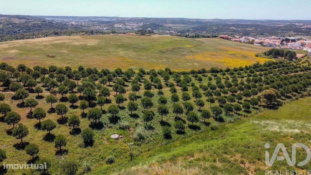 Terreno em Gaeiras de 4773,00 m2 - Grande imagem: 4/25