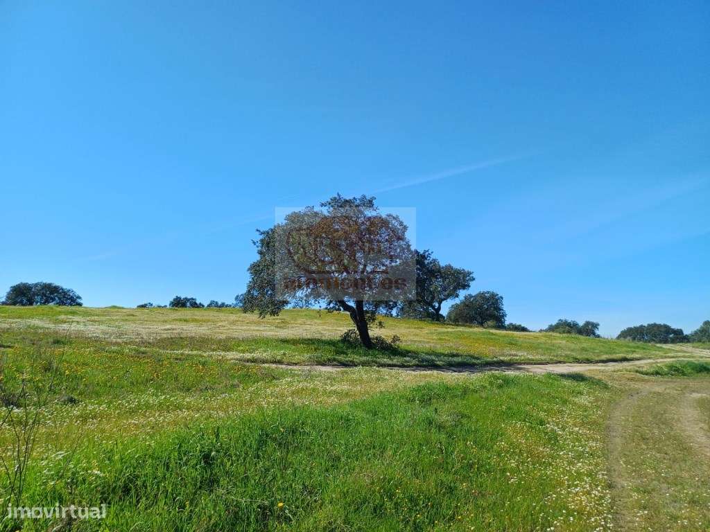 Casa Oliveira - PROJECTO APROVADO E PRONTO A CONSTRUIR-20