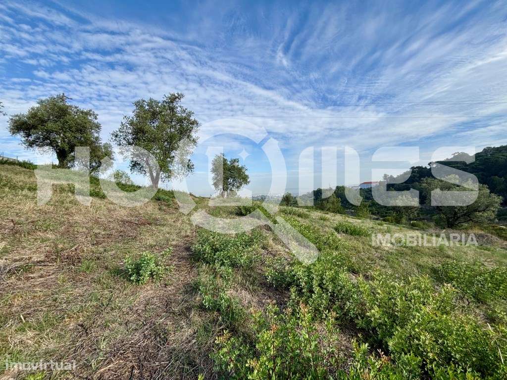 Terreno | Urbano | Excelentes Acessos | Vistas Panorâmicas-12