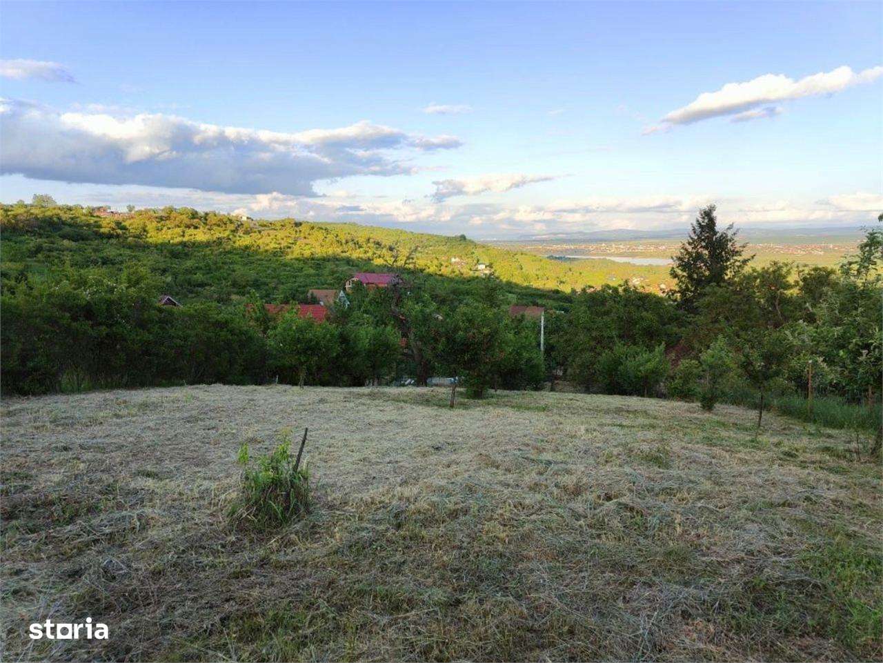 RECO Teren intravilan zona Podgoria - Imagine principală: 1/4