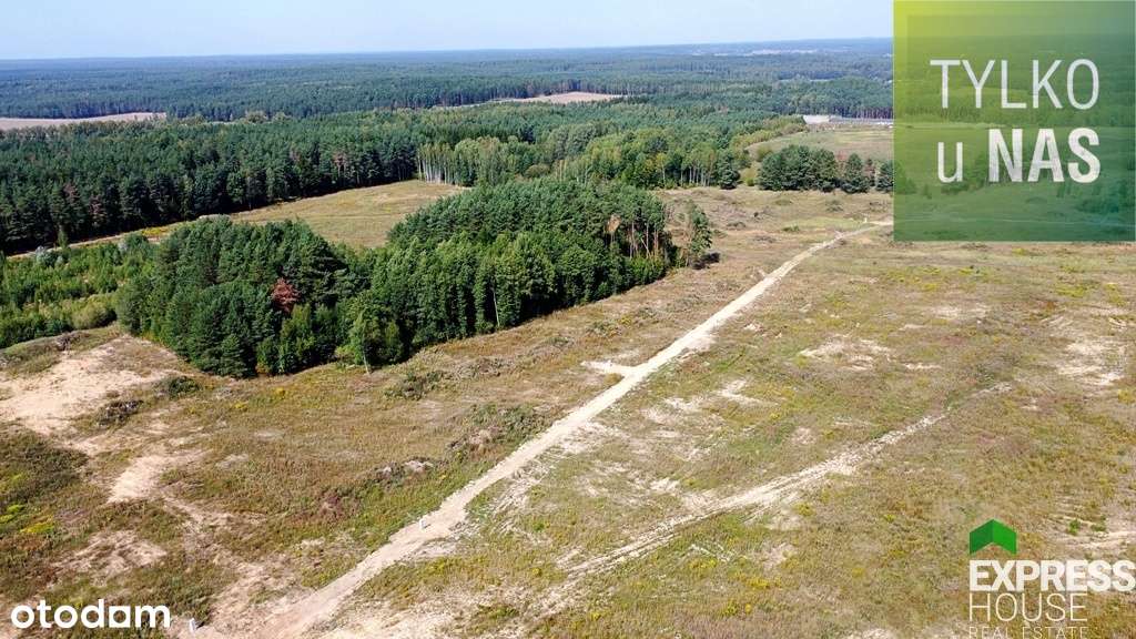 Działki usługowo - wytwórcze w Studziankach - Pełny obrazek: 4/5