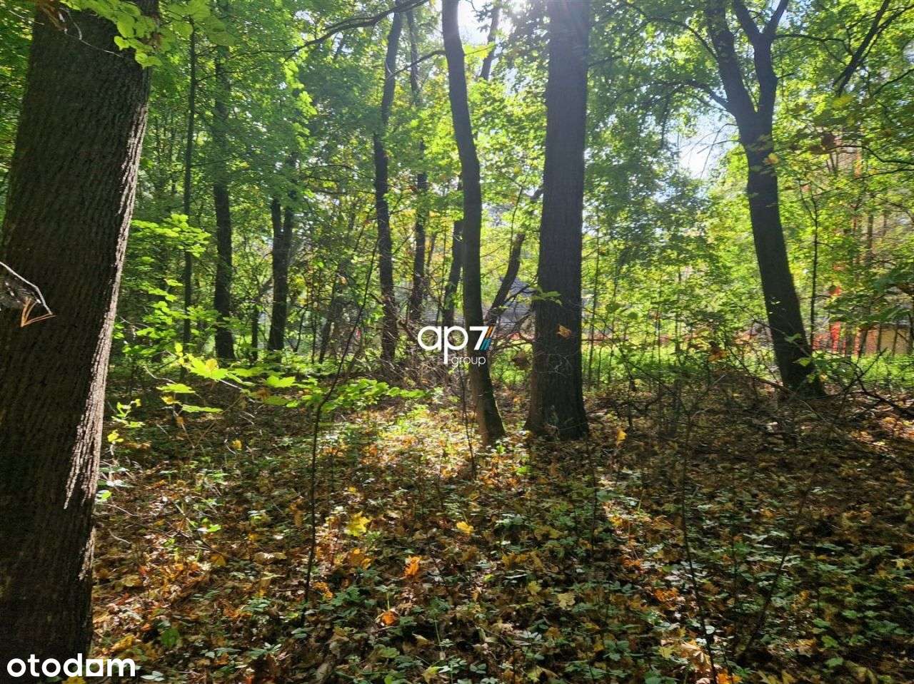 Nieruchomość z bogatą historią - Pełny obrazek: 5/11