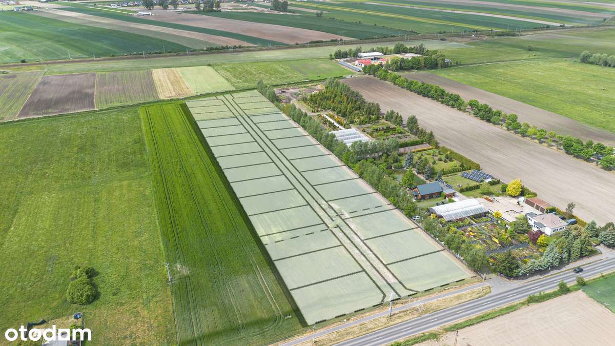 Działki Stare Tarnowo / Czempiń - 180zł/m2 - Pełny obrazek: 1/4