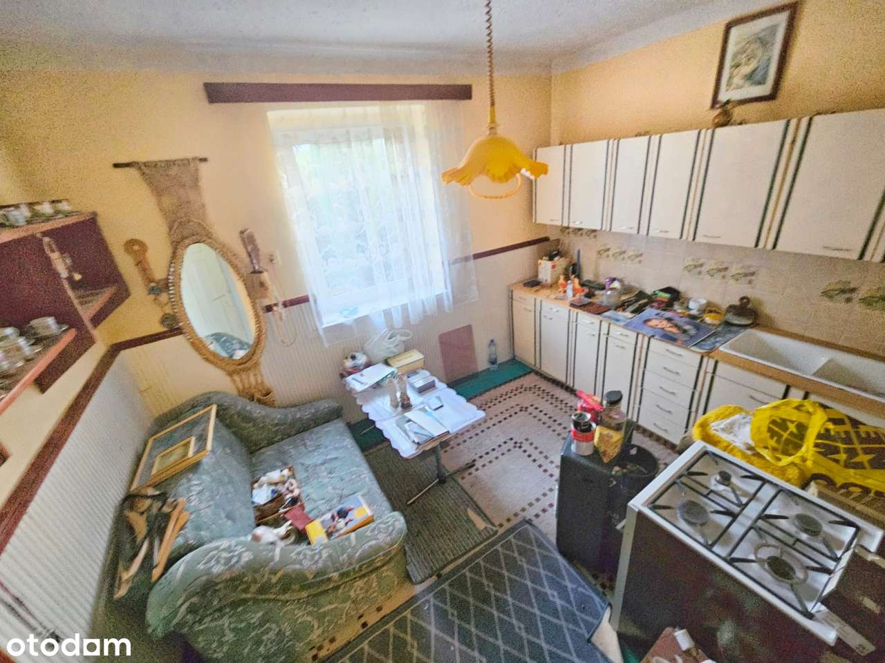 Tylko gotówka, Dąbrowa Narodowa, mały domek, z małą działką-2