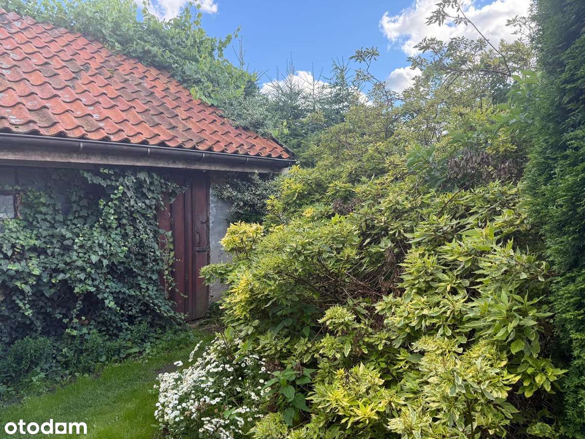 Dom na Mazurach Zachodnich - cisza i natura w Janikach Wielkich - Pełny obrazek: 4/18