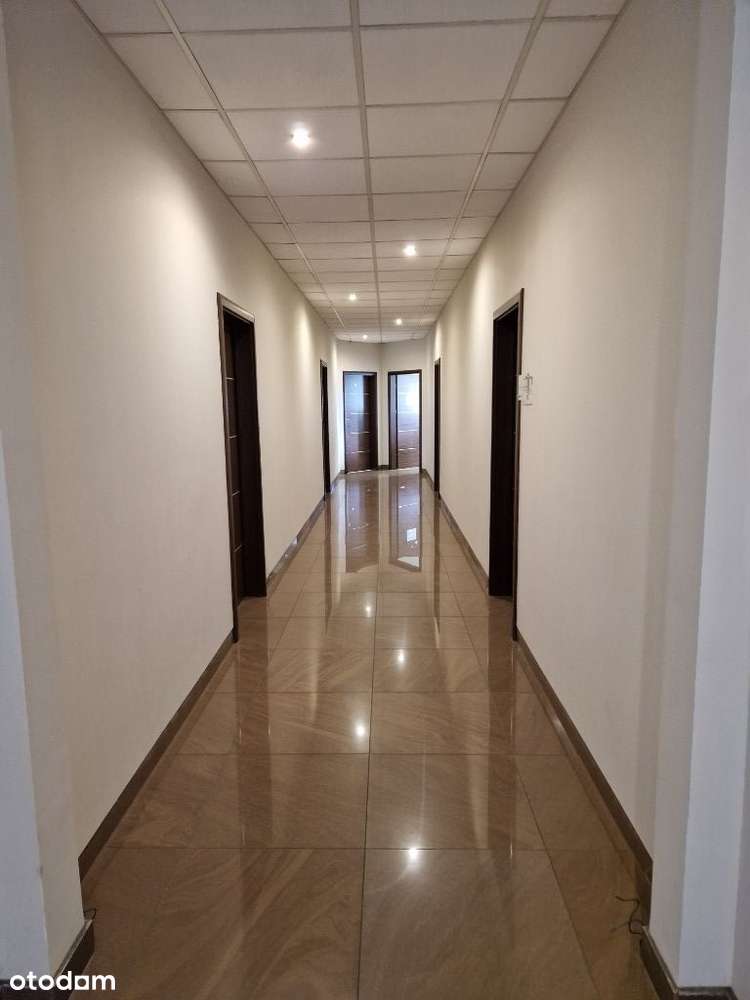 Do wynajęcia biura 40m2-200m2 cena z mediami - Pełny obrazek: 3/5