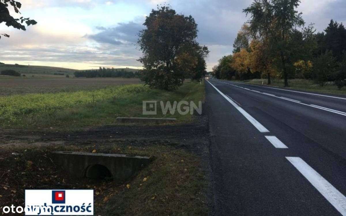 Działka, 24 000 m², Lgota Murowana - Pełny obrazek: 4/10