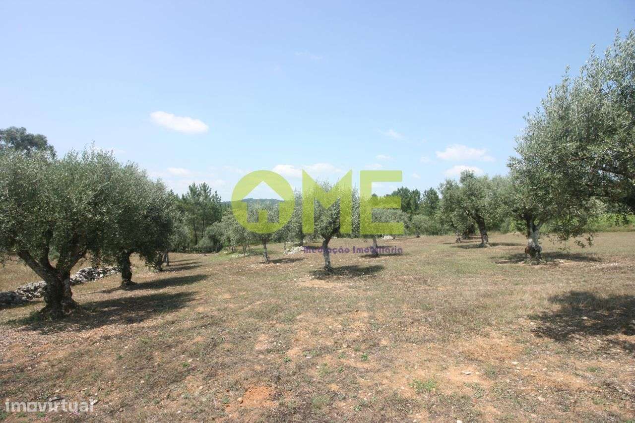 Terreno para construção - Atouguia - Grande imagem: 3/5