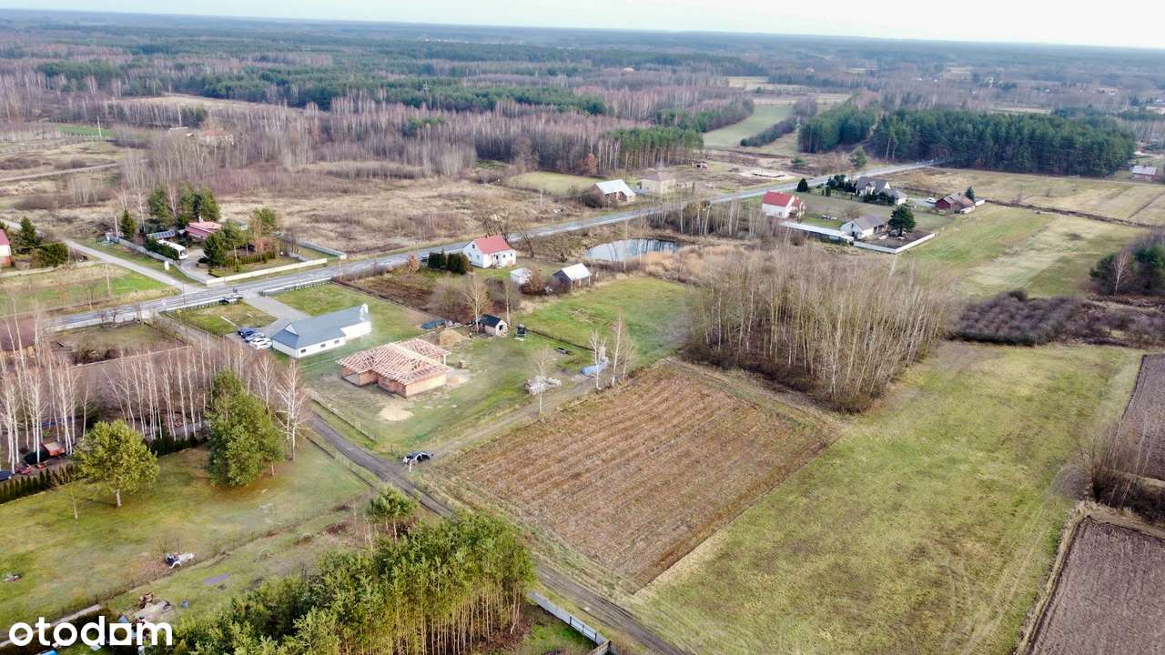 Działka budowlana 56 ar, Wola Baranowska – MPZP, media, las na działce - Pełny obrazek: 5/8