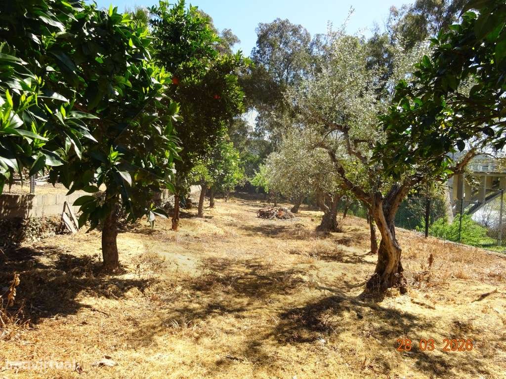 QUINTA - BARCA D'ÁLVA-5