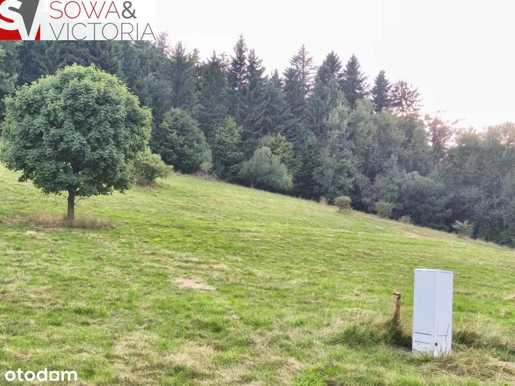 Widokowa działka pod lasem , prąd na działce-5