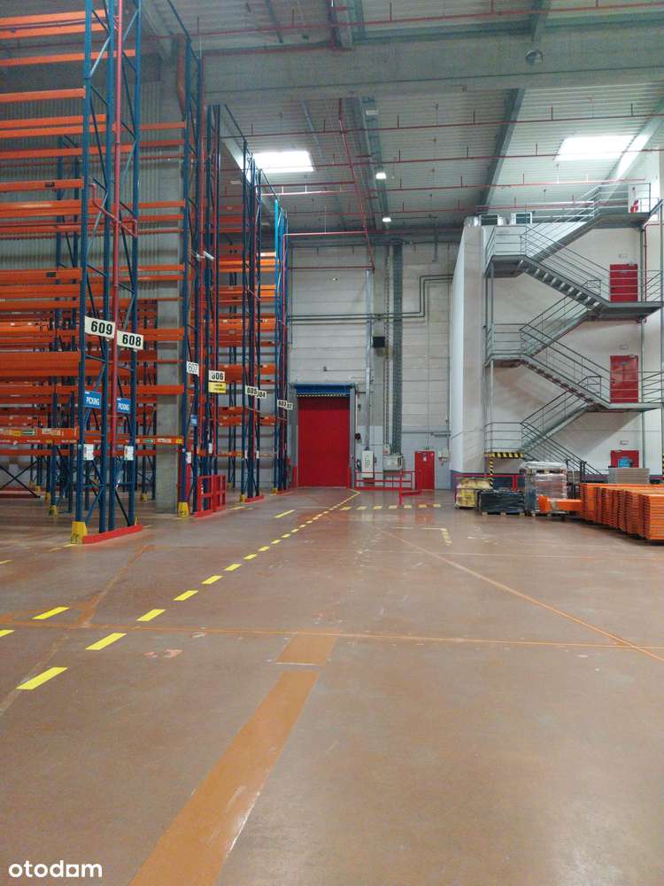 Magazyn na wynajem/ 5000 m2/ Tomaszów Mazowiecki/ zaregałowany - Pełny obrazek: 4/5
