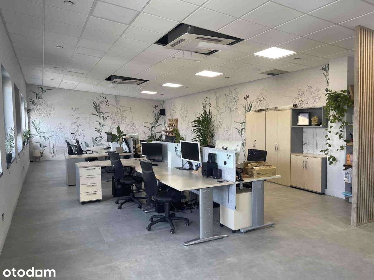 Lokal magazynowo-produkcyjny z zapleczem biurowym - Pełny obrazek: 4/11