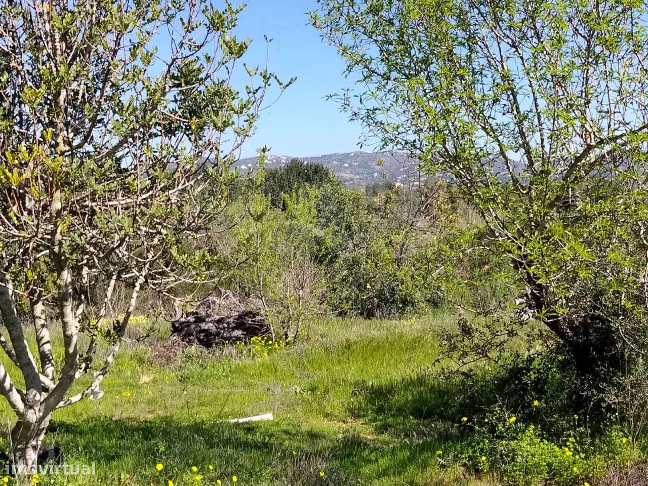 Lote de Terreno Rustico-8