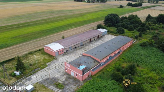 Obiekt Produkcyjno-Magazyn.2300m2/Dz.8600m2/Pawłów